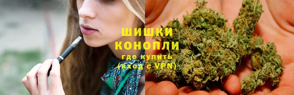 дурь Алексеевка