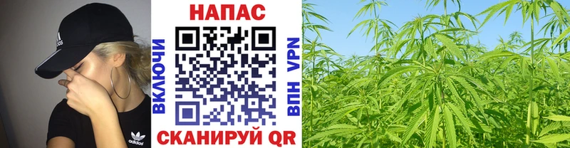 Каннабис THC 21% Данков